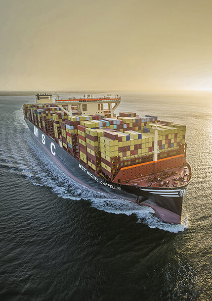 MSC Michelle Cappellini